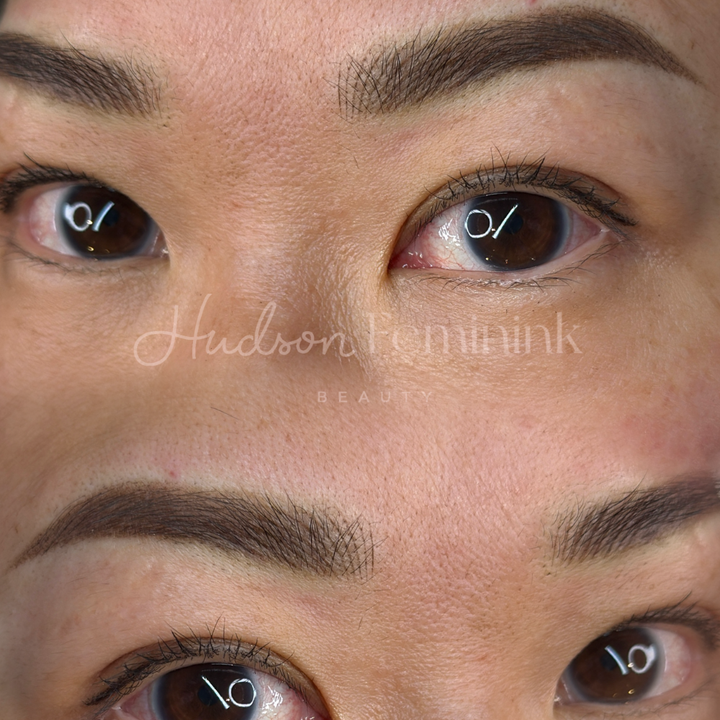 Nano & Ombre Brow Training
